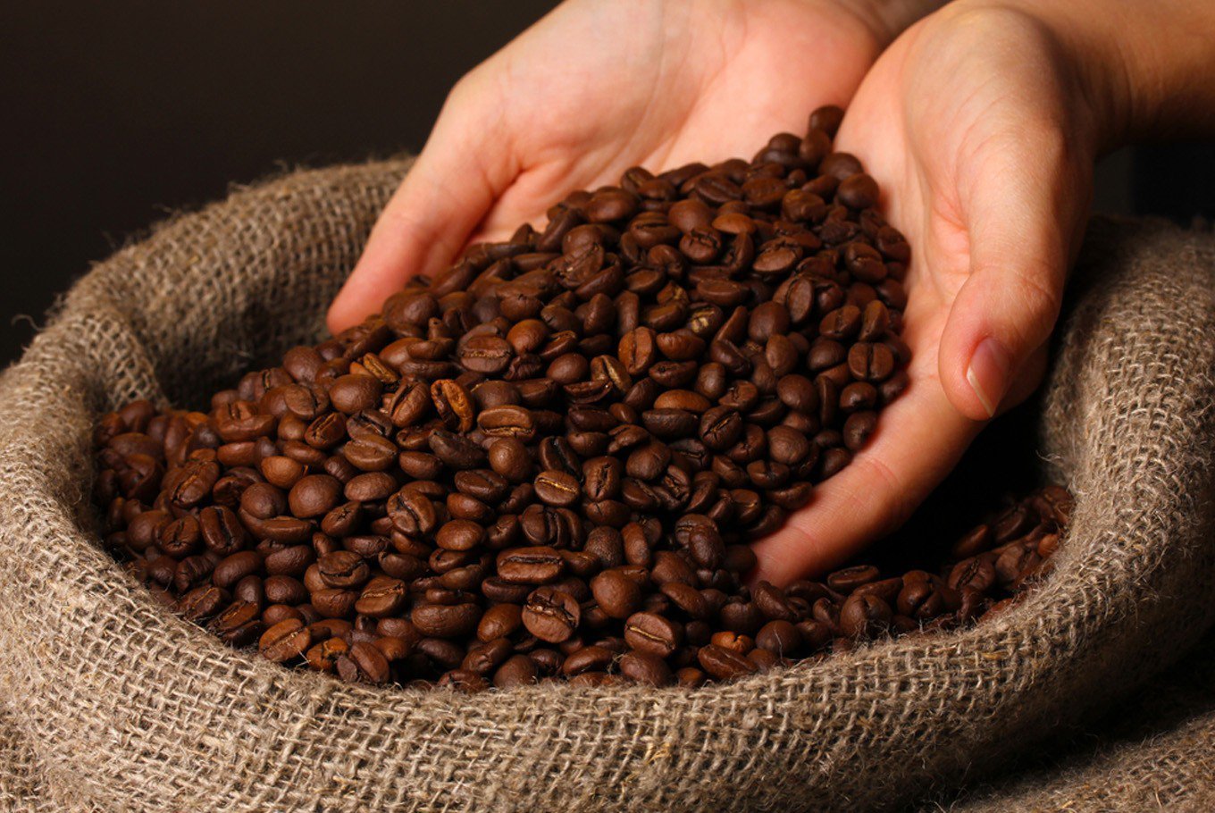 Sản xuất cà phê robusta đang có tiềm năng phát triển