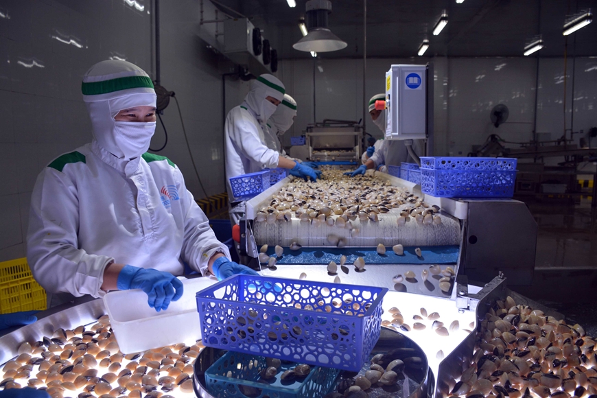 Xuất khẩu cá tra, cá ngừ, mực, ngao chững lại