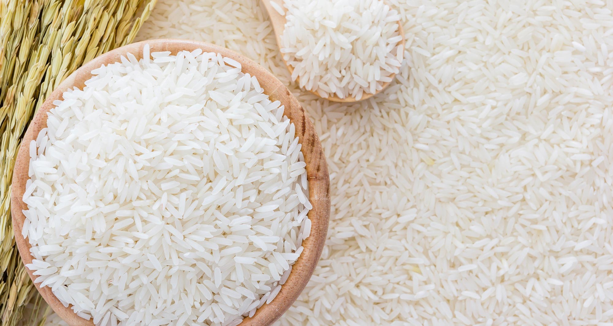Tin mới: Giá gạo Việt Nam đồng loạt rớt giá mạnh